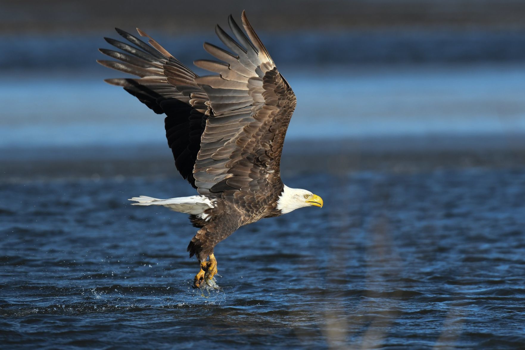 Touching down